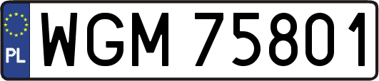 WGM75801