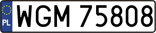 WGM75808