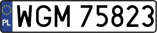 WGM75823