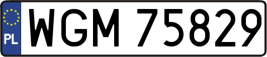 WGM75829