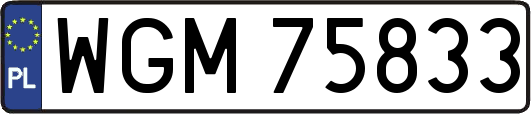 WGM75833