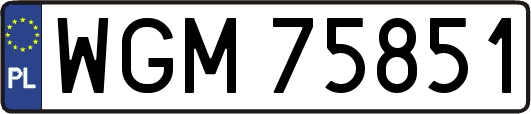 WGM75851