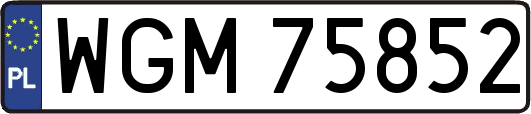 WGM75852