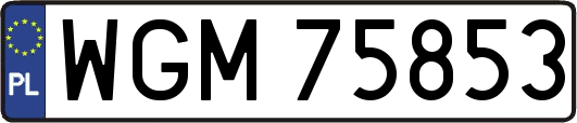 WGM75853
