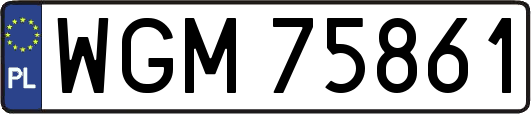 WGM75861
