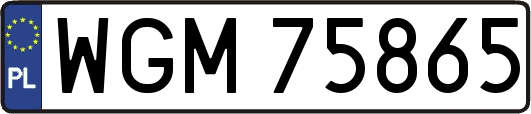 WGM75865