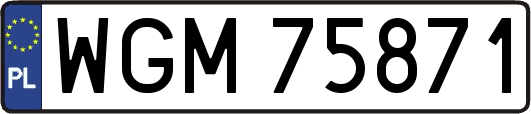 WGM75871