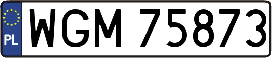 WGM75873