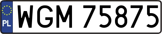 WGM75875