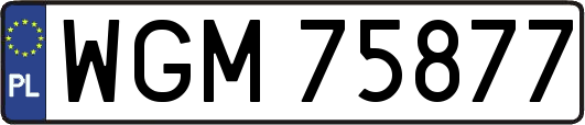 WGM75877