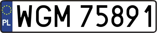WGM75891