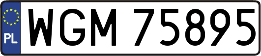 WGM75895