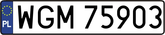WGM75903