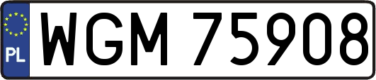 WGM75908