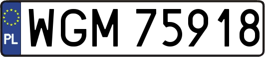 WGM75918