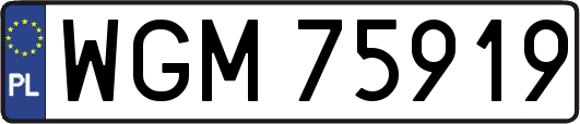 WGM75919