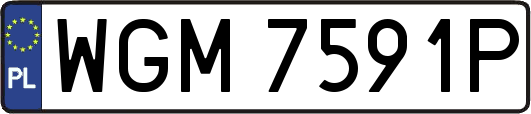 WGM7591P