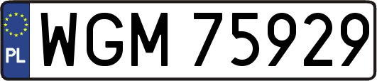 WGM75929