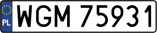 WGM75931