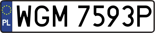WGM7593P
