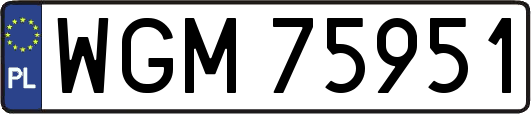 WGM75951