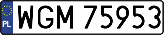 WGM75953