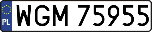 WGM75955