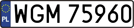 WGM75960