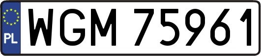 WGM75961