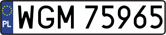 WGM75965