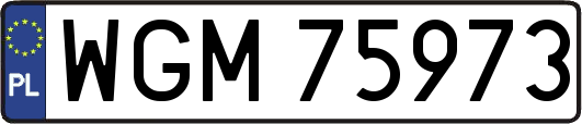 WGM75973