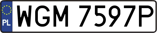 WGM7597P