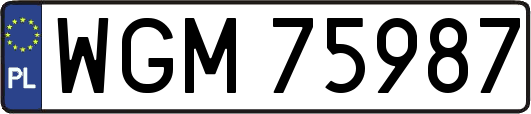 WGM75987
