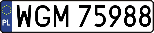 WGM75988