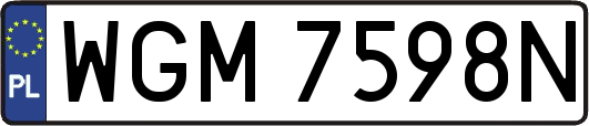 WGM7598N