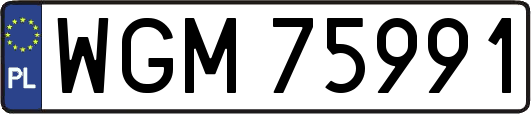 WGM75991