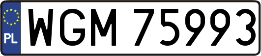 WGM75993