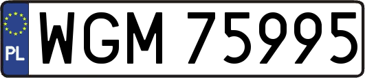 WGM75995