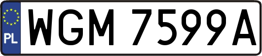 WGM7599A