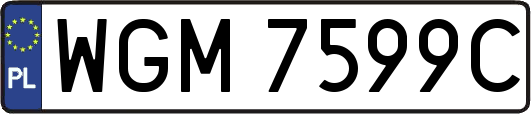 WGM7599C
