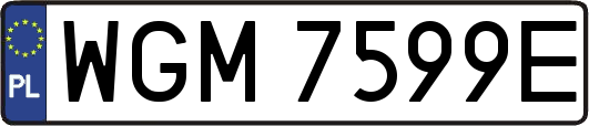 WGM7599E