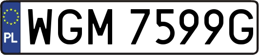 WGM7599G