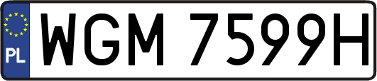 WGM7599H