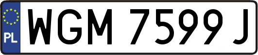 WGM7599J