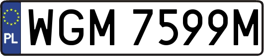 WGM7599M