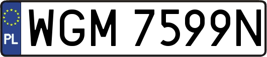 WGM7599N