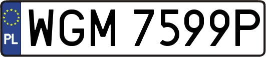 WGM7599P