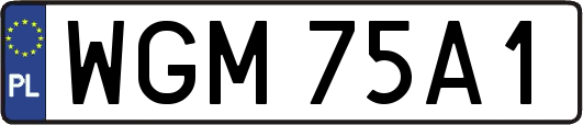 WGM75A1