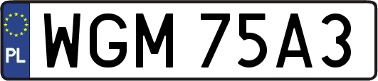 WGM75A3