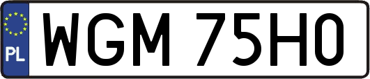 WGM75H0